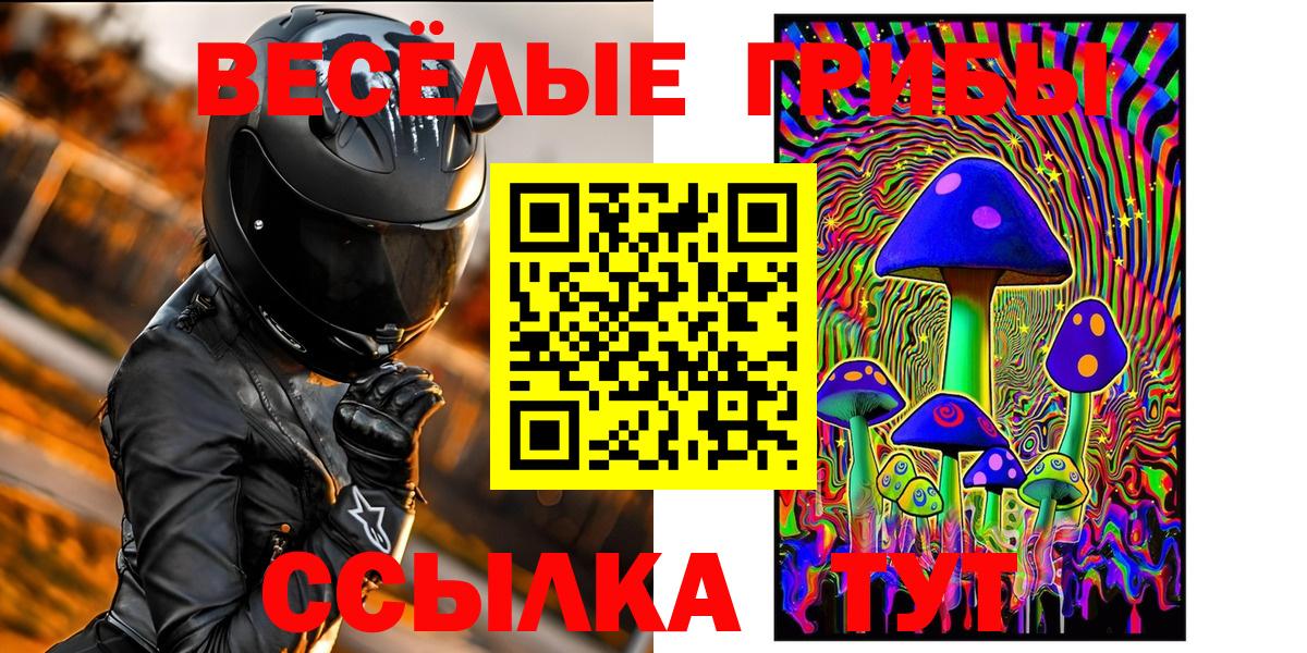 Гусь-Хрустальный  Галлюциногенные грибы мухоморы  купить наркоту  Галлюциногенные грибы Psilocybine cubensis  Вход с VPN 