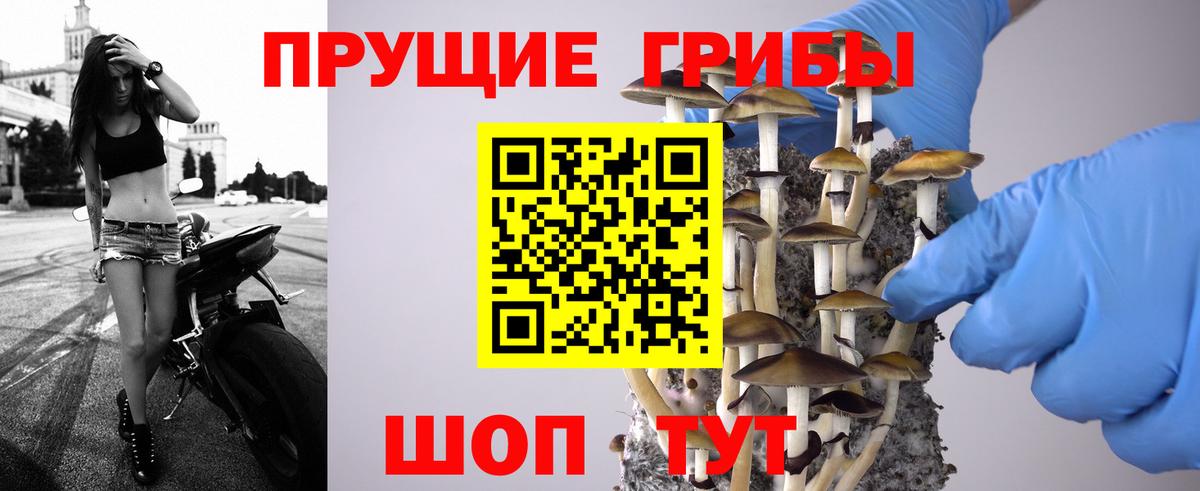 Галлюциногенные грибы Psilocybine cubensis Гусь-Хрустальный